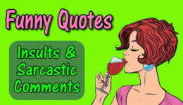 Funny Quotes And Sarcastic Comments To Save The Day