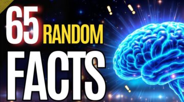 65 Random Facts So Amazing, They’ll Blow Your Mind!