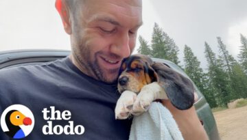 Guy Adopts Puppy Who Wouldn’t Stop Crying And Gives Her A Bath