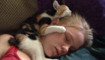 When Your Cat Steals Your Bed but Wins Your Heart!