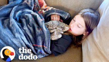 Lizard Who Acts Like A Dog Love To Cuddle With His Sister