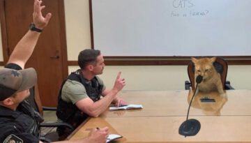 When You Own a Cat With an IQ 200