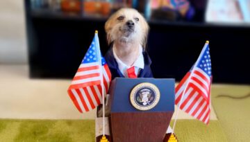 Best Pet Videos of the Decade