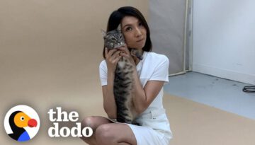 Cat Dumped For Being ‘Aggressive’ Transforms Into A Lovebug