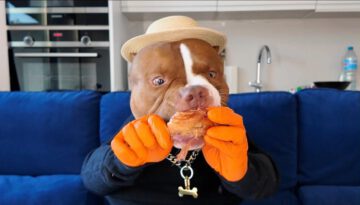 CHOCOLUNCH: Crispy Duck Leg