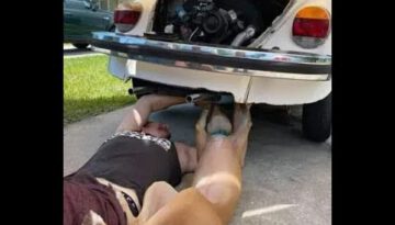 Funny and Hilarious Pet Moments