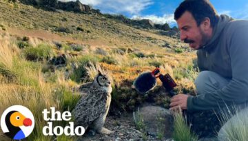 Guy Interviews An Owl In The Wild