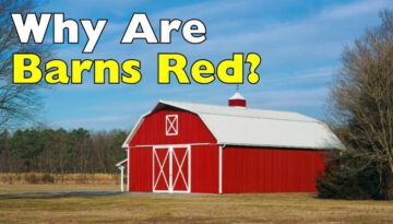 Why Are Barns Red?