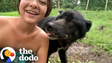 Wolfdog’s Human Mom Teaches Him How To Howl