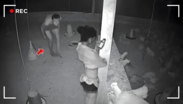 Incredible Moments Caught on Camera