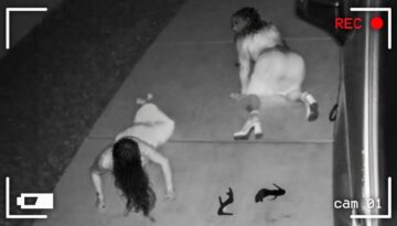 Incredible Moments Caught on Camera