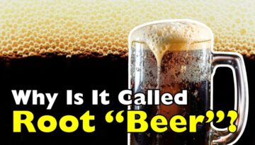 What Exactly Is Root Beer? And Why Is It Called “Beer”?
