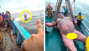 What They Captured on Camera Shocked the Whole World!