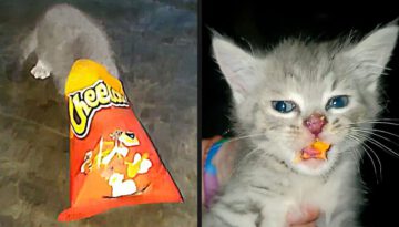 Getting Caught Red Handed