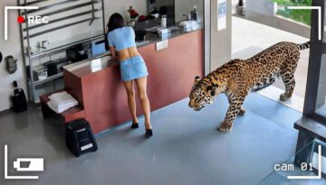 Incredible Moments Caught on Camera #12