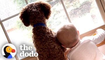 Family Brings Home A Puppy And A Baby At The Same Time