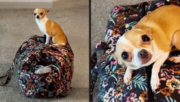 She Knew What Was Coming