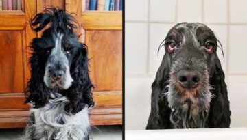 Baths Aren’t For Everyone