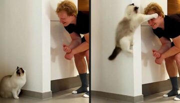 He Did NOT See This Coming