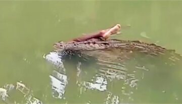 Real Moments So Insane, They’ll Blow Your Mind!