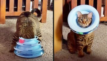 Still Figuring This Out