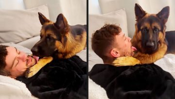 The Tables Have Turned