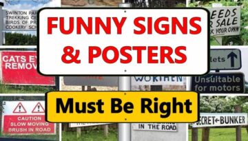Funny Signs And Posters Must Be Right