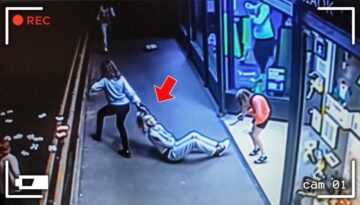 Incredible Moments Caught on Camera