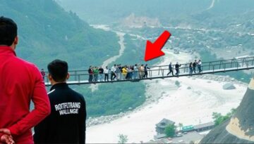 Incredible Moments Caught on Camera