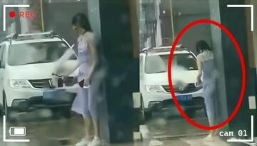 Incredible Moments Caught on Camera