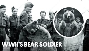 WWII’s Secret Weapon: A Bear Named Wojtek