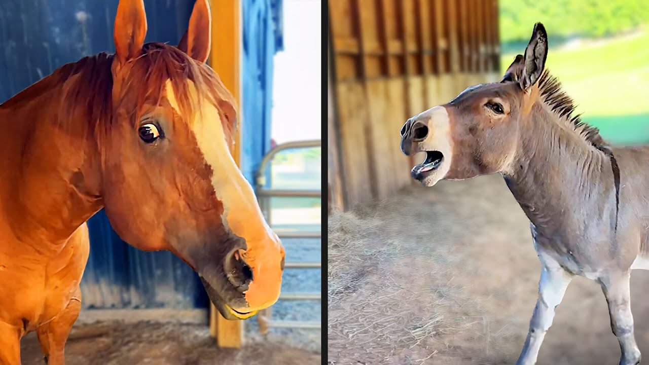 Their Reaction Was Brutal